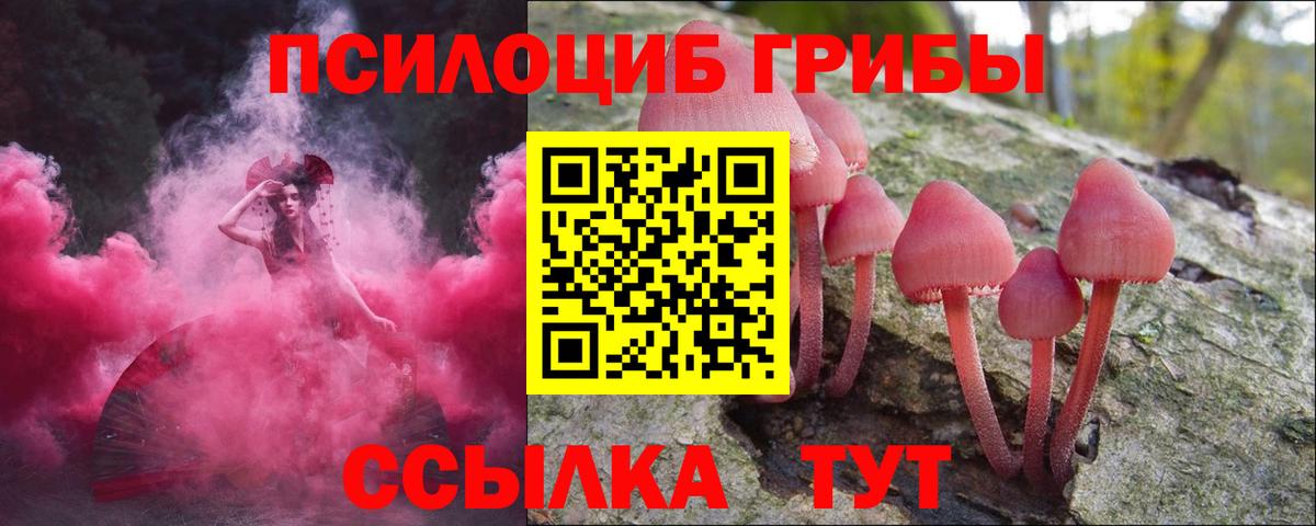 Рассказово  Галлюциногенные грибы Psilocybine cubensis  Вход с VPN 
